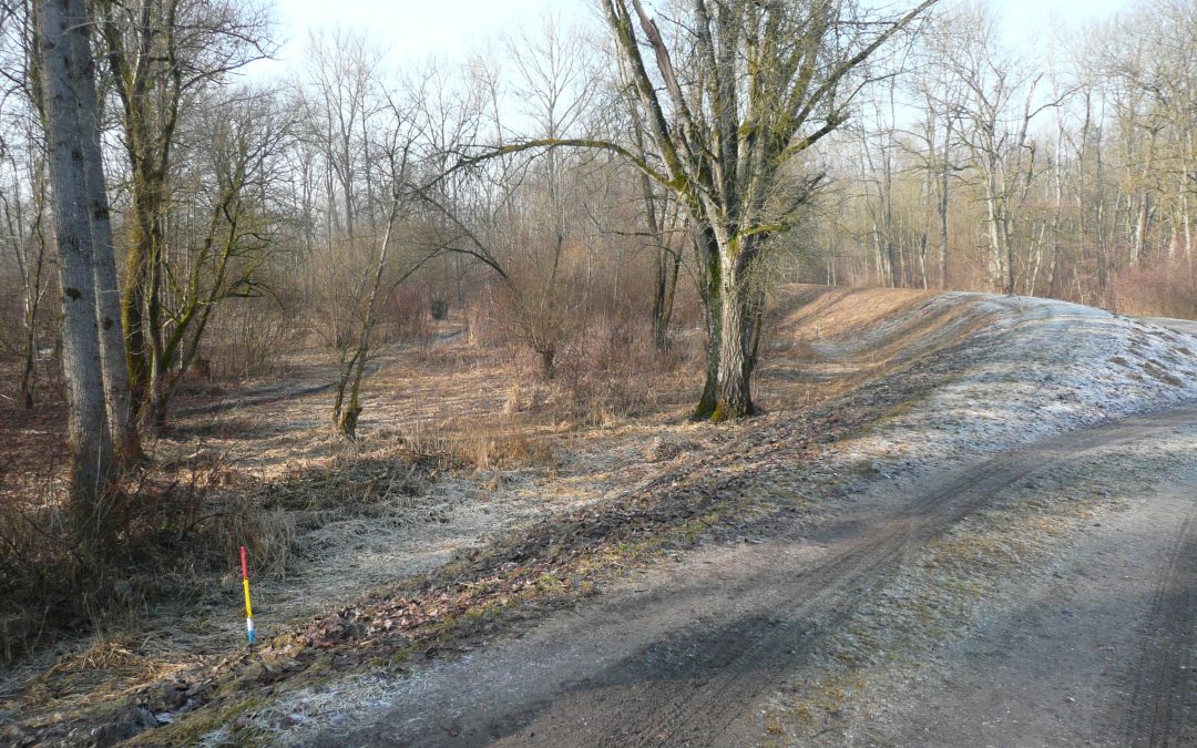 Hochwasserschutz Fischerdorf